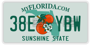 38EYBW  license plate in FL