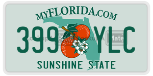 399YLC  license plate in FL