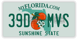 39DMVS license plate in Florida