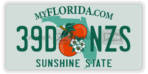 39DNZS  license plate in FL