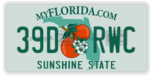 39DRWC license plate in Florida