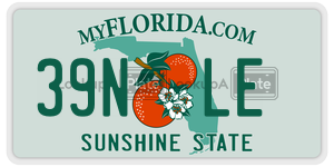 39NLE  license plate in FL