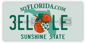 3ELLE license plate in Florida