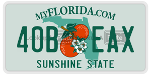 40BEAX  license plate in FL