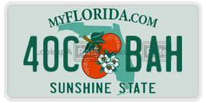 40CBAH license plate in Florida