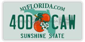 40DCAW  license plate in FL