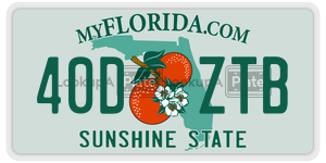 40DZTB license plate in Florida