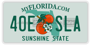 40ESLA  license plate in FL
