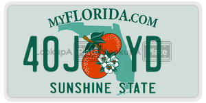 40JYD license plate in Florida