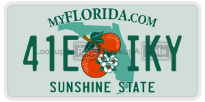 41EIKY license plate in Florida