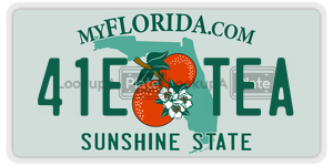 41ETEA  license plate in FL