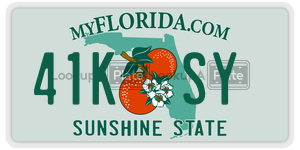 41KSY  license plate in FL