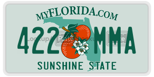 422MMA license plate in Florida