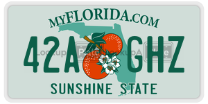 42AGHZ  license plate in FL