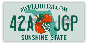 42AJGP license plate in Florida