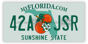 42AJSR license plate in Florida