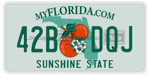 42BDQJ license plate in Florida
