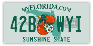 42BWYI license plate in Florida