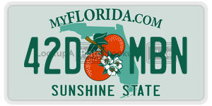 42DMBN  license plate in FL