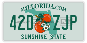 42DZJP license plate in Florida