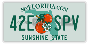 42ESPV  license plate in FL