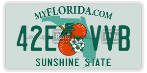 42EVVB license plate in Florida