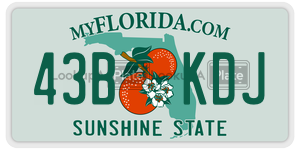 43BKDJ license plate in Florida