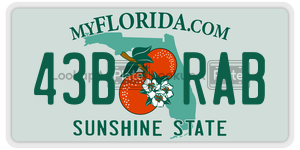 43BRAB license plate in Florida