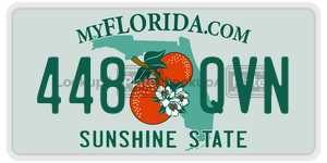 448QVN license plate in Florida