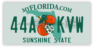 44AKVW  license plate in FL