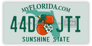 44DJTI  license plate in FL