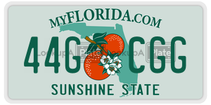 44GCGG license plate in Florida