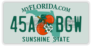 45ABGW  license plate in FL