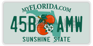45BAMW  license plate in FL