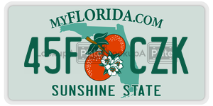 45FCZK  license plate in FL