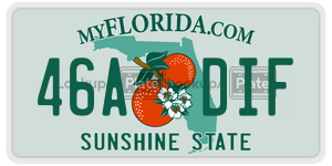 46ADIF license plate in Florida