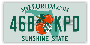 46BKPD  license plate in FL