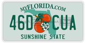 46DCUA  license plate in FL