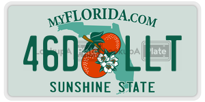 46DLLT license plate in Florida