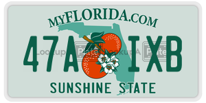 47AIXB license plate in Florida
