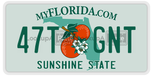 47TGNT  license plate in FL