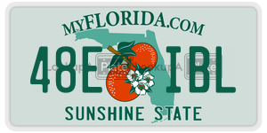 48EIBL  license plate in FL