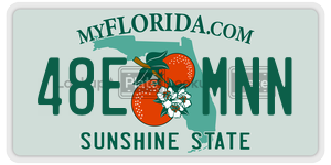 48EMNN  license plate in FL
