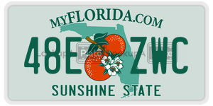 48EZWC license plate in Florida