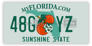48GYZ  license plate in FL