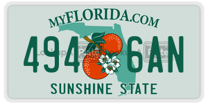 4946AN  license plate in FL