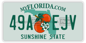 49AEJV license plate in Florida