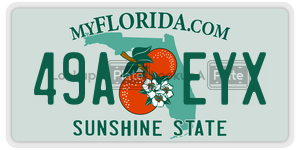 49AEYX  license plate in FL