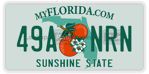 49ANRN license plate in Florida