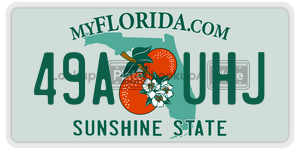 49AUHJ  license plate in FL